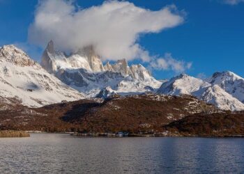 Argentina drawn in 2026 World Cup Group J: What to know about Algeria, Austria, Jordan – The Athletic – The New York Times