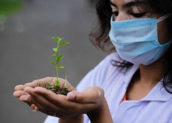 Global scientists gather in SW China’s Tengchong to explore innovation-driven development – news.cgtn.com