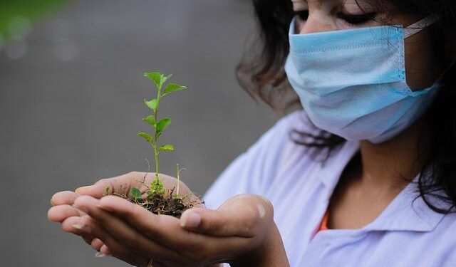 Global scientists gather in SW China’s Tengchong to explore innovation-driven development – news.cgtn.com