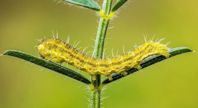 55-year-old says he reversed his biological age to 20: How basic lifestyle habits helped him achieve longe – The Economic Times