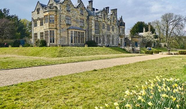 6 things in my parents’ house that felt totally normal—until I visited a wealthy friend’s – VegOut