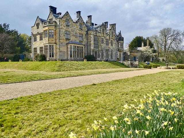 6 things in my parents’ house that felt totally normal—until I visited a wealthy friend’s – VegOut