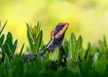 Emma Vigeland: ‘These Republican women are hypocrites’ – CNN