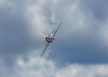 Stellar ambitions: Elie Saab Jr on building a global lifestyle brand through design – Gulf Business