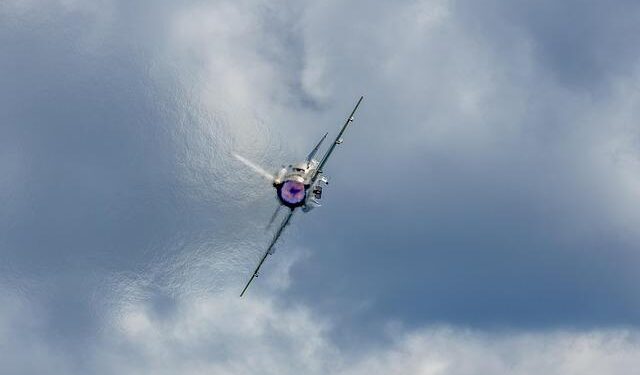 Stellar ambitions: Elie Saab Jr on building a global lifestyle brand through design – Gulf Business