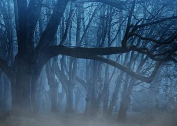 TMA Seeks to Award Outstanding Science Teachers – Texas Border Business