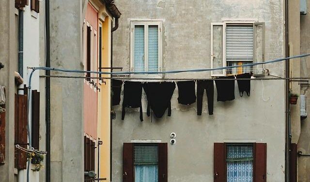 Evanston Ecology Center hosts community garden gathering Dec. 16 – Evanston RoundTable