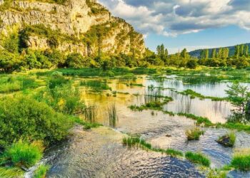 Philip Rivers could join exclusive list of athletes to suit up while being a grandparent – ESPN