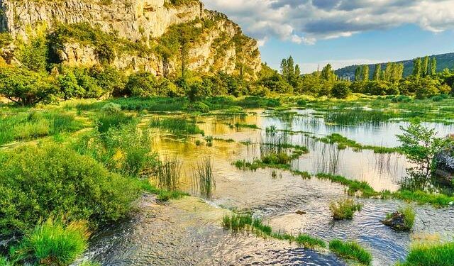 Philip Rivers could join exclusive list of athletes to suit up while being a grandparent – ESPN