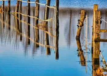 Harger: Washington’s floods don’t care about your politics – MyNorthwest.com