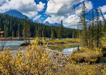 Bank of Canada holds rates, says economy looks better than expected despite tariffs – Reuters