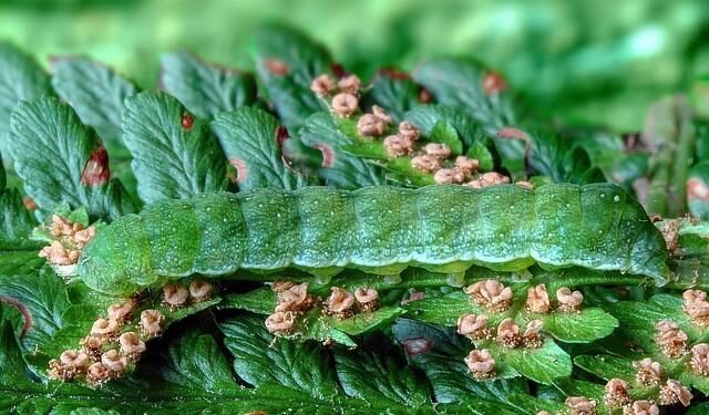 Ecological Transformation awards 2025 – Veolia