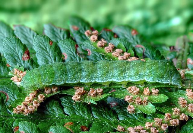 Ecological Transformation awards 2025 – Veolia