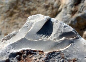 Apex Legends creators announce new PvP FPS game Highguard – Esports Insider