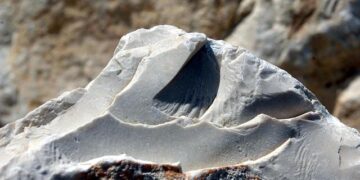 Apex Legends creators announce new PvP FPS game Highguard – Esports Insider