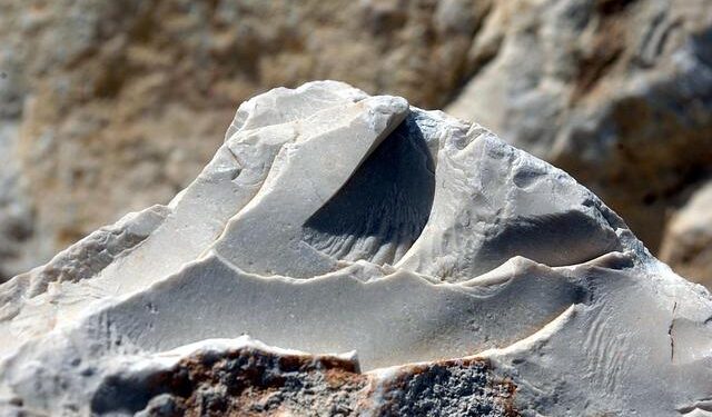 Apex Legends creators announce new PvP FPS game Highguard – Esports Insider