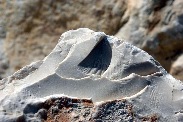 Apex Legends creators announce new PvP FPS game Highguard – Esports Insider