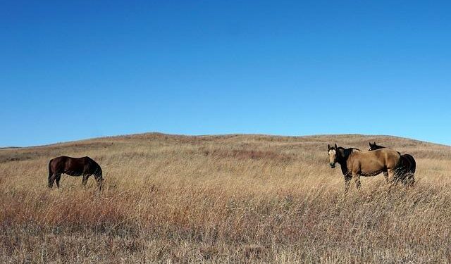 I moved from the Midwest to the East Coast – here are 6 cultural differences that still confuse me – VegOut