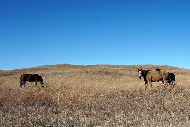 I moved from the Midwest to the East Coast – here are 6 cultural differences that still confuse me – VegOut
