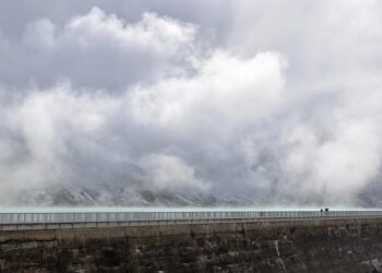 Artificial beaver dams show promise in offsetting climate change effects – Phys.org