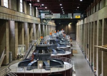 Hoover resident named 2025 Lifestyle Model of the Year by national group – HooverSun.com