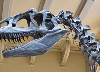 A Hidden Difference Between Dinosaurs and Mammals Is Changing Science’s View of the Past – SciTechDaily