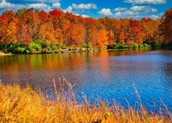 West Virginia High Technology Foundation focuses on artificial intelligence growth in 2026, beyond – WV News