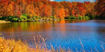 West Virginia High Technology Foundation focuses on artificial intelligence growth in 2026, beyond – WV News