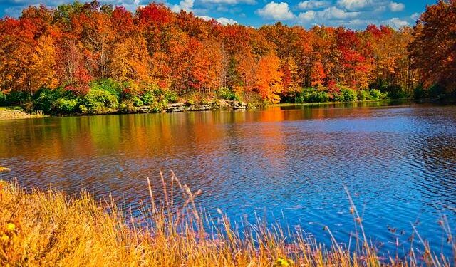 West Virginia High Technology Foundation focuses on artificial intelligence growth in 2026, beyond – WV News