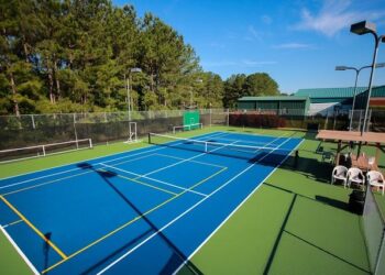 Tesla made a $350 pickleball paddle – Popular Science