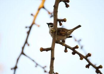 Sunburn — The morning read of what’s hot in Florida politics — 12.15.25 – Florida Politics