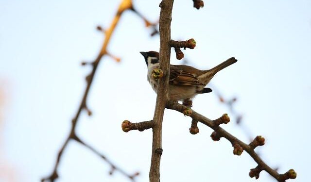 Sunburn — The morning read of what’s hot in Florida politics — 12.15.25 – Florida Politics