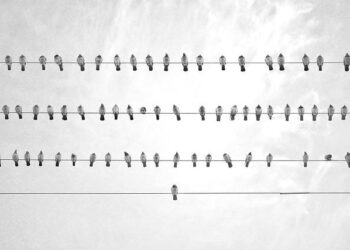 From Belgrade to Miami: Israel to open economic missions in Netanyahu-allied countries – Haaretz