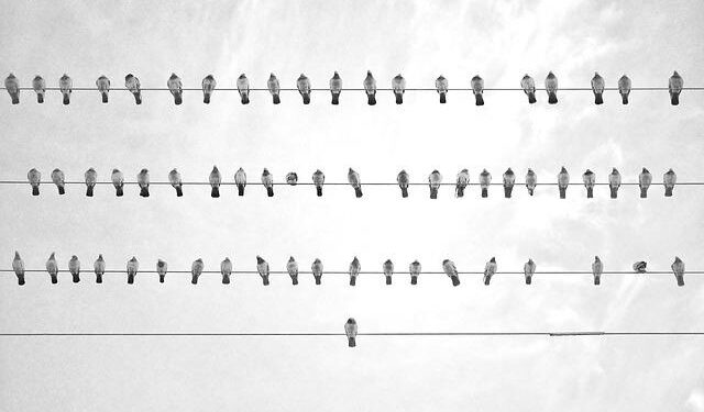 From Belgrade to Miami: Israel to open economic missions in Netanyahu-allied countries – Haaretz