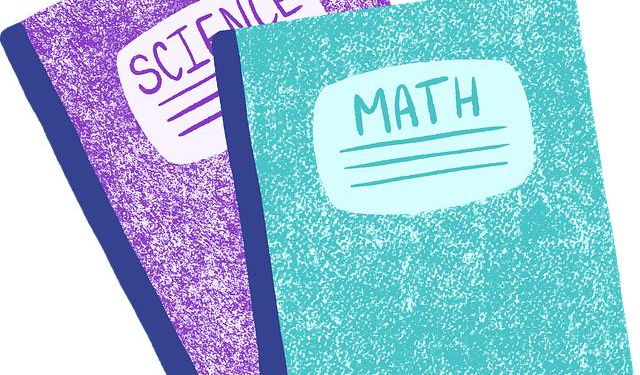 Indiana Math and Science Academy West assistant principal Justin Kirby – IndyStar