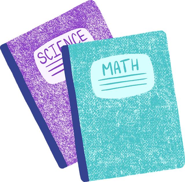 Indiana Math and Science Academy West assistant principal Justin Kirby – IndyStar