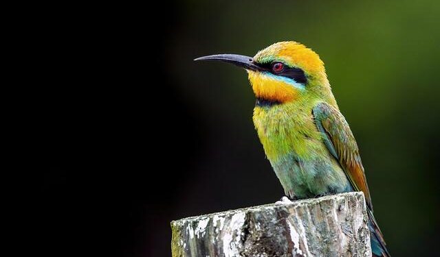 8 specific moments every plant-based eater instantly recognizes that meat-eaters will never understand – VegOut