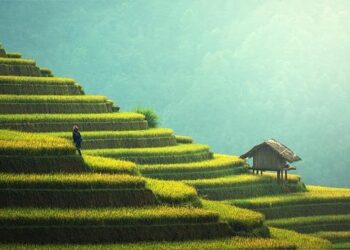 AI for ecology and conservation: New tools track ecosystem health – Rice University