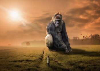 Stumbles in the search for a Brown University shooter led to the wrong man – CNN