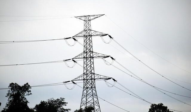 Mpox transmission, US flu surveillance highlighted in first Public Health Alerts reports – CIDRAP