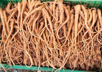 Supporting productive farms and clean water – Department of Ecology – State of Washington (.gov)