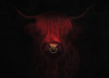 Here’s how the Red Bull Tetris® World Final uplevelled gameplay with drones – Red Bull