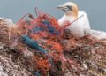 Tackling Global Plastic Pollution – World Wildlife Fund