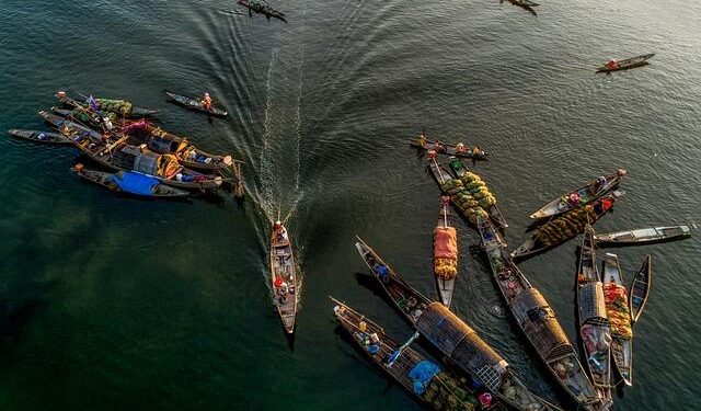 Vietnam: Creating a green lifestyle with remote growing, vegetable boxes – Hortidaily