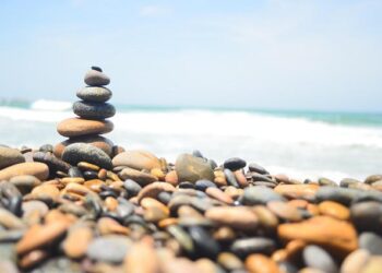 Ancient oceans were ruled by super predators unlike anything today – ScienceDaily