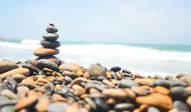 Ancient oceans were ruled by super predators unlike anything today – ScienceDaily