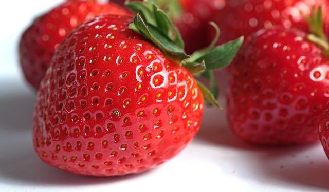 People are going vegan for these surprising reasons (not just animals) – VegOut