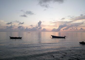 Todd Siler’s paintings start with science and end in swirling fields of colors – The Denver Post