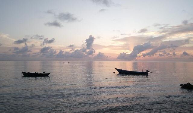 Todd Siler’s paintings start with science and end in swirling fields of colors – The Denver Post