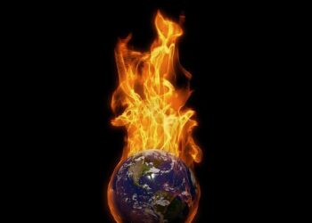 Fire ecology photo winners 2025 – wildfiretoday.com